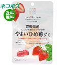 ネコポス JA全農 ニッポンエール 群馬やよいひめ苺 グミ 40g×10袋入| 全国送料無料 お菓子 グミ 国産 日本産 全農