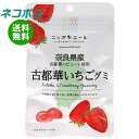 ネコポス JA全農 ニッポンエール 奈良県古都華いちご グミ 40g×10袋入| 全国送料無料 お菓子 グミ 国産 日本産 全農