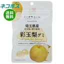 ネコポス JA全農 ニッポンエール 埼玉県産彩玉梨 グミ 40g×10袋入| 全国送料無料 お菓子 グミ 国産 日本産 全農