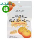 ネコポス JA全農 ニッポンエール 山口県産ゆめほっぺ グミ 40g×10袋入| 全国送料無料 お菓子 グミ 国産 日本産 全農