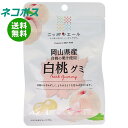 【全国送料無料】【ネコポス】JA全農 ニッポンエール 山県産白桃 グミ 40g×10袋入| お菓子 グミ 国産 日本産 全農(4)