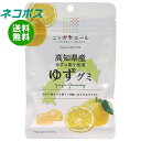 ネコポス JA全農 ニッポンエール 高知県産ゆず グミ 40g×10袋入| 全国送料無料 お菓子 グミ 国産 日本産 全農