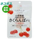 ネコポス JA全農 ニッポンエール 山形県産さくらんぼ グミ 40g×10袋入| 全国送料無料 お菓子 グミ 国産 日本産 全農