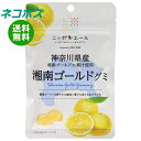 ネコポス JA全農 ニッポンエール 神奈川県産湘南ゴールド グミ 40g×10袋入| 全国送料無料 お菓子 グミ 国産 日本産 全農