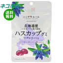ネコポス JA全農 ニッポンエール 北海道ハスカップ グミ 40g×10袋入| 全国送料無料 お菓子 グミ 国産 日本産 全農