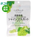ネコポス JA全農 ニッポンエール 長野県産シャインマスカット グミ 40g×10袋入| 全国送料無料 お菓子 グミ 国産 日本産 全農