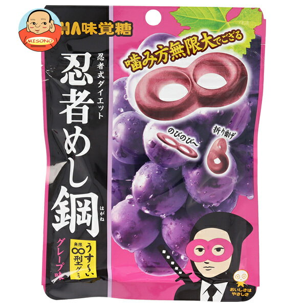 楽天飲料 食品専門店 味園サポートUHA味覚糖 忍者めし鋼 グレープ味 45g×10袋入×（2ケース）｜ 送料無料 ハードグミ 忍者式ダイエット グレープ 葡萄