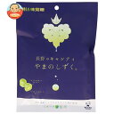 UHA味覚糖 長野のキャンディ やまのしずく 79g×6個入| 送料無料 お菓子 飴 フルーツ マスカット