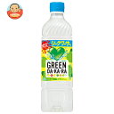 サントリー GREEN DA・KA・RA(グリーン ダカラ)限定シークワーサー味 600mlペットボトル×24本入×(2ケース)| 送料無料 ダカラ dakara スポーツドリンク 熱中症対策