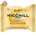 井村屋 ミッチルチーズ 3本×16袋入×(2ケース)| 送料無料 カステラ 和菓子 お菓子 おやつ スティックタイプ