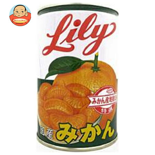 [ポイント5倍！5/16(金)1時59分まで全品対象エントリー&購入]リリーコーポレーション Lily リリーのみかん4号缶 425g×12個入｜ 送料無料 缶詰 みかん オレンジ クエン酸 Lily 菓子材料