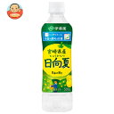 伊藤園 ニッポンエール 宮崎県産日向夏 500gペットボトル×24本入| 送料無料 柑橘 フルーツ 果物