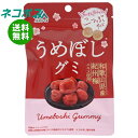 ネコポス モントワール JAわかやま うめぼしグミ 36g×10袋入| 全国送料無料 お菓子 グミ 袋 梅干し 駄菓子