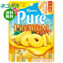 ネコポス カンロ ピュレグミ プレミアム 沖縄産パイナップルスパークリング 54g×6袋入| 全国送料無料 お菓子 袋 Pure パイン ビタミンC
