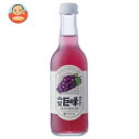 友桝飲料 山梨 巨峰サイダー 245ml瓶×24本入×(2ケース)| 送料無料 サイダー ぶどう グレープ 炭酸 葡萄