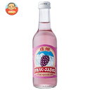 友桝飲料 ナガノパープルサイダー 245ml瓶×24本入×(2ケース)| 送料無料 サイダー ぶどう グレープ 炭酸 葡萄
