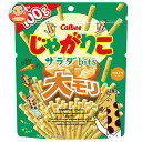 カルビー じゃがりこ サラダbits 大モリ 100g×12袋入 メーカー 問屋直送| 送料無料 お菓子 スナック菓子 じゃがいも ジャガリコ