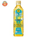 サントリー 伊右衛門(いえもん) 特茶 ジャスミン【手売り用】【特定保健用食品 特保】 500mlペットボトル×24本入×(2ケース)| 送料無料 特保 トクホ...