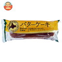 山崎製パン バターケーキ 10個入×(2ケース)| 送料無料 洋菓子 バターケーキ バター 北海道