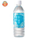 釜石鉱山 仙人秘水 500mlペットボトル×24本入×(2ケース)| 送料無料 ミネラルウォーター 仙人 秘水