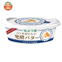 よつ葉乳業 よつ葉 パンにおいしい 発酵バター 100g×10個入 メーカー 問屋直送 チルド 冷蔵品| 送料無料 バター 乳製品 北海道 よつ葉