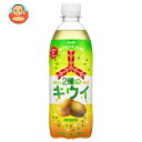 アサヒ飲料 三ツ矢 2種のキウイ 500mlペットボトル×24本入×(2ケース)| 送料無料 炭酸飲料 ビタミンC フルーツ