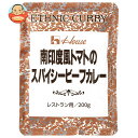 ハウス食品 南印度風トマトのスパイシービーフカレー 200g×30袋入×(2ケース)| 送料無料 カレー インドカレー レトルト