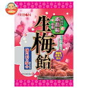 【送料無料・メーカー/問屋直送品・代引不可】リボン 生梅飴 90g×12袋入| お菓子 あめ キャンディー 飴 袋