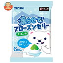 オーイズミ下仁田 フローズンゼリー メロン味 6個入×16袋入×(2ケース)| 送料無料 OIZUMI おやつ 生菓子 ゼリー 凍らせて