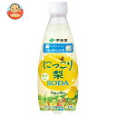 伊藤園 ニッポンエール 栃木県産 にっこり梨ソーダ 410mlペットボトル×24本入| 送料無料 炭酸 フルーツ 梨