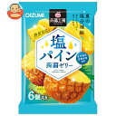 オーイズミ下仁田 蒟蒻工房 塩パイン 蒟蒻ゼリー 6個入×16袋入| 送料無料 OIZUMI おやつ 生菓子 ゼリー 塩分補給 糖分補給