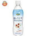 ダイドー ミスティオ 塩とライチスパークリング 410mlペットボトル×24本入| 送料無料 熱中症対策 炭酸 塩分 ライチ スパークリング
