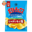 コイケヤ ポテトチップス じゃがいもと塩 55g×12袋入| 送料無料 お菓子 スナック菓子 しお ポテチ