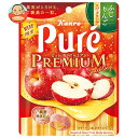 カンロ ピュレグミ プレミアム ふじりんごスパークリング 54g×6袋入×(2ケース)| 送料無料 お菓子 Pure 袋 プレミアム りんご アップル
