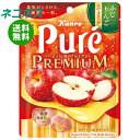 ネコポス カンロ ピュレグミ プレミアム ふじりんごスパークリング 54g×6袋入| 全国送料無料 お菓子 Pure 袋 プレミアム りんご アップル
