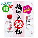 ネコポス ノーベル製菓 梅ぼしの種飴 30g×6袋入| 全国送料無料 お菓子 あめ キャンディー 袋 うめ