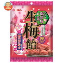 リボン 生梅飴 90g×12袋入| 送料無料 お菓子 あめ キャンディー 飴 袋
