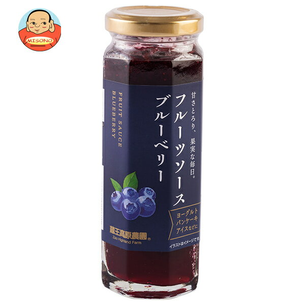 和歌山産業 フルーツソース ブルーベリー 160g×12本入×(2ケース)｜ 送料無料 調味料 フルーツ ソース 果物 ブルーベリー