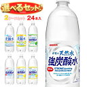 サンガリア 伊賀の天然水 炭酸水 選べる2ケースセット 1Lペットボトル×24(12×2)本入| 送料無料 炭酸水 炭酸 伊賀の天然水 強炭酸水 1000ml 箱買い ペットボトル 24本 サンガリア 1l