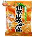 川口製菓 和歌山みかん飴 100g×10袋入 メーカー 問屋直送| 送料無料 お菓子 おやつ 飴 あめ キャンディ みかん ミカン 蜜柑