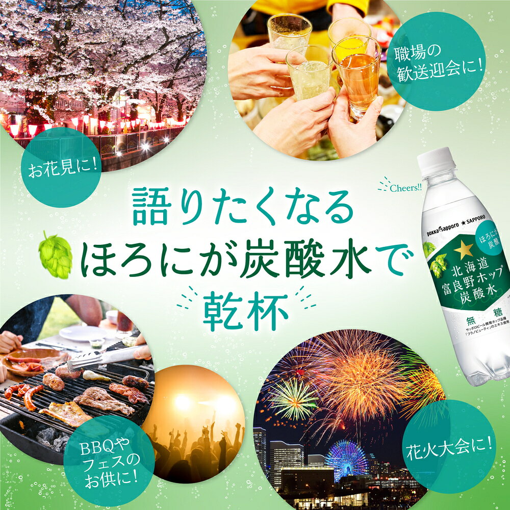 [ポイント5倍！7/11(土)1時59分まで全品対象エントリー&購入]ポッカサッポロ 北海...