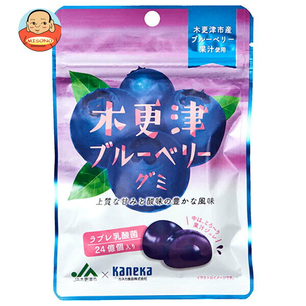 カネカ食品 木更津ブルーベリーグミ ラブレ乳酸菌入 40g×10袋入｜ 送料無料 お菓子 グミ 果汁 ジュレ ラブレ乳酸菌 ラブレ 乳酸菌 チャック付き 腸内環境 ブルーベリー