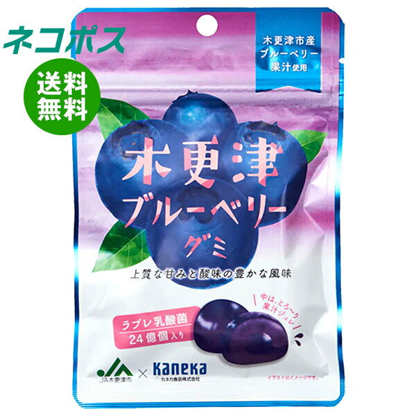 ネコポス カネカ食品 木更津ブルーベリーグミ ラブレ乳酸菌入 40g×10袋入｜ 全国送料無料 お菓子 グミ 果汁 ジュレ ラブレ乳酸菌 ラブレ 乳酸菌 チャック付き 腸内環境 ブルーベリー