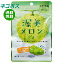 ネコポス カネカ食品 渥美メロングミ ラブレ乳酸菌入 40g×10袋入| 全国送料無料 お菓子 グミ 果汁 ジュレ ラブレ乳酸菌 ラブレ 乳酸菌 チャック付き 腸内環境 メロン