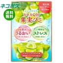 ネコポス カネカ食品 カネカQ10果実グミ シャインマスカット味 40g×10袋入| 全国送料無料 グミ 果汁 ジュレ チャック付 コエンザイム 機能性表示食品 ストレス うるおい マスカット