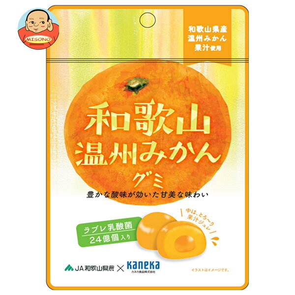 カネカ食品 和歌山温州みかんグミ ラブレ乳酸菌入 40g×10袋入｜ 送料無料 お菓子 グミ 果汁 ジュレ ラブレ乳酸菌 ラブレ 乳酸菌 チャック付き 腸内環境 みかん