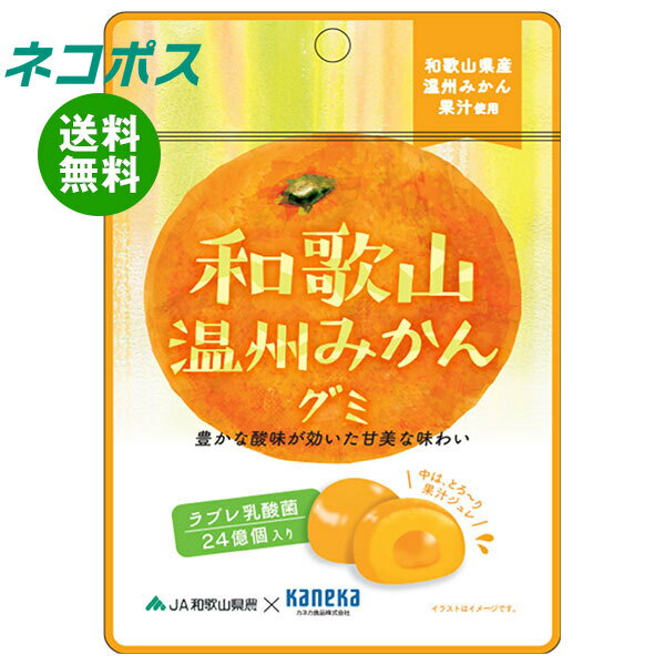 ネコポス カネカ食品 和歌山温州みかんグミ ラブレ乳酸菌入 40g×10袋入｜ 全国送料無料 お菓子 グミ 果汁 ジュレ ラブレ乳酸菌 ラブレ 乳酸菌 チャック付き 腸内環境 みかん