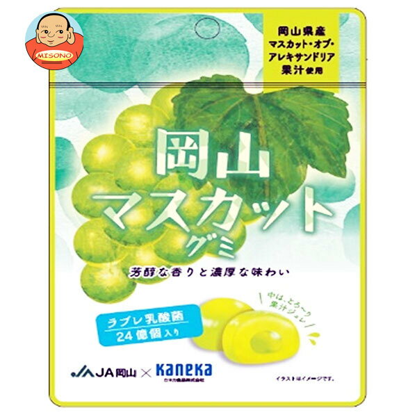 カネカ食品 岡山マスカットグミ ラブレ乳酸菌入 40g×10袋入×(2ケース)｜ 送料無料 お菓子 グミ 果汁 ジュレ ラブレ乳酸菌 ラブレ 乳酸菌 チャック付き 腸内環境 マスカット