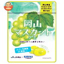 カネカ食品 岡山マスカットグミ ラブレ乳酸菌入 40g×10袋入×(2ケース)| 送料無料 お菓子 グミ 果汁 ジュレ ラブレ乳酸菌 ラブレ 乳酸菌 チャック付き 腸内環境 マスカット