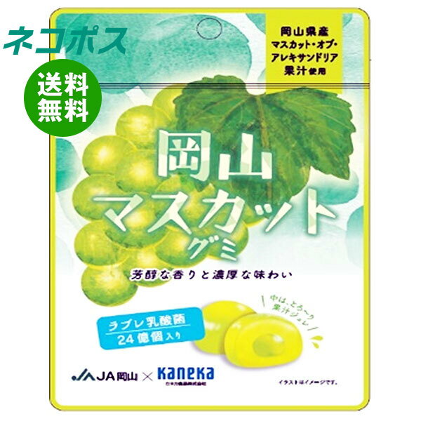 ネコポス カネカ食品 岡山マスカットグミ ラブレ乳酸菌入 40g×10袋入｜ 全国送料無料 お菓子 グミ 果汁 ジュレ ラブレ乳酸菌 ラブレ 乳酸菌 チャック付き 腸内環境 マスカット